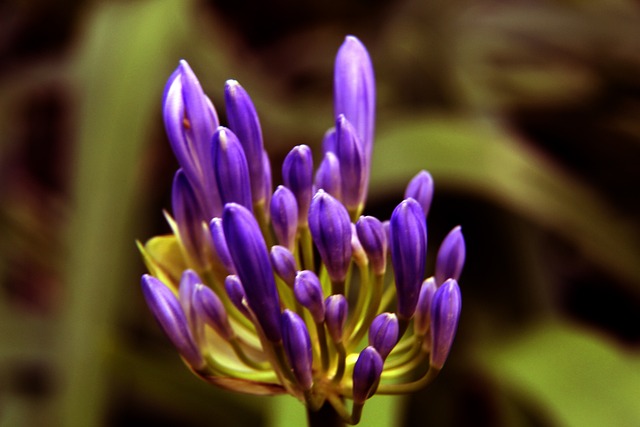 是球队坚实 是球队坚实