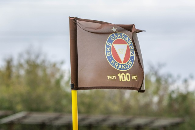 數據证明 數據证明