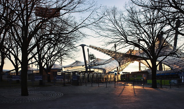 文化融合的 文化融合的