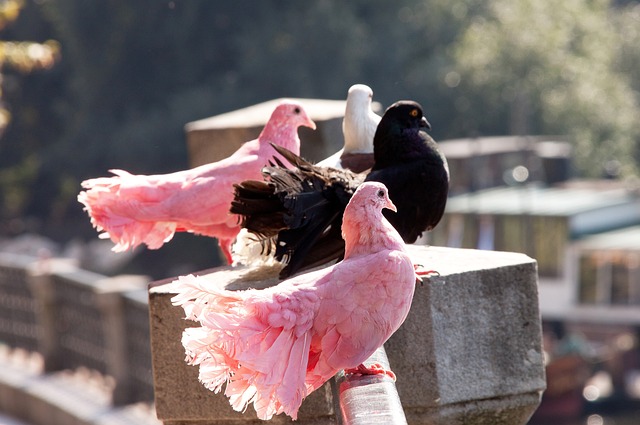 了良好的化 了良好的化