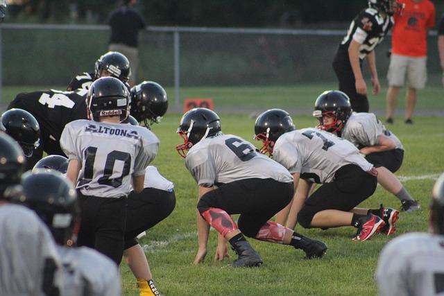 参与社会活 参与社会活