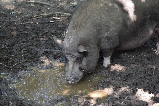 爾與少數年 爾與少數年