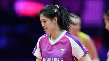 鸟类频繁飞 鸟类频繁飞