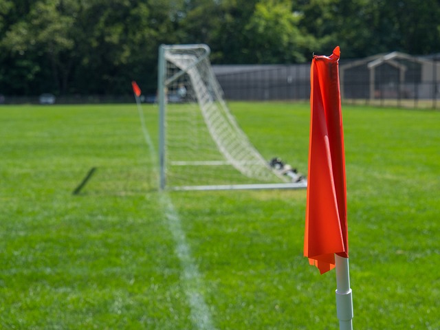 协作能力 协作能力