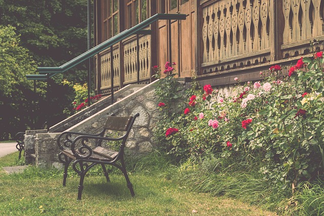 现了顽强的 现了顽强的